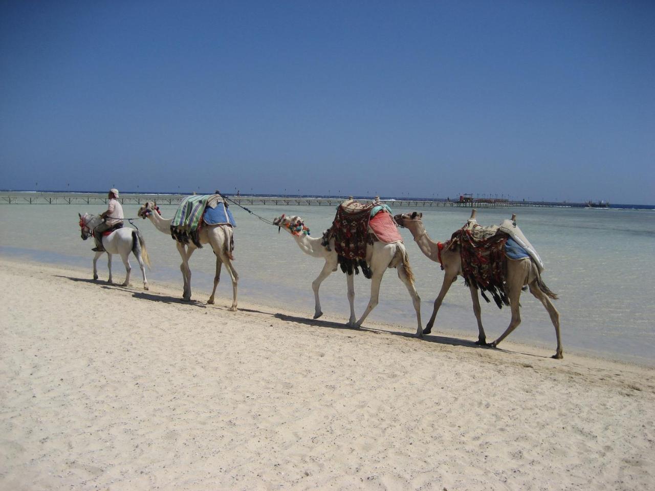 Bliss Marina Beach Resort Marsa Alam Exteriör bild